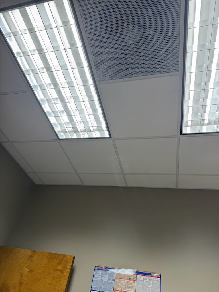 Fluorescent troffer lights and drop ceiling in a commercial office